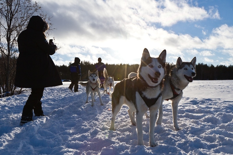 trai nghiem lai xe bentley tren bang tai phan lan