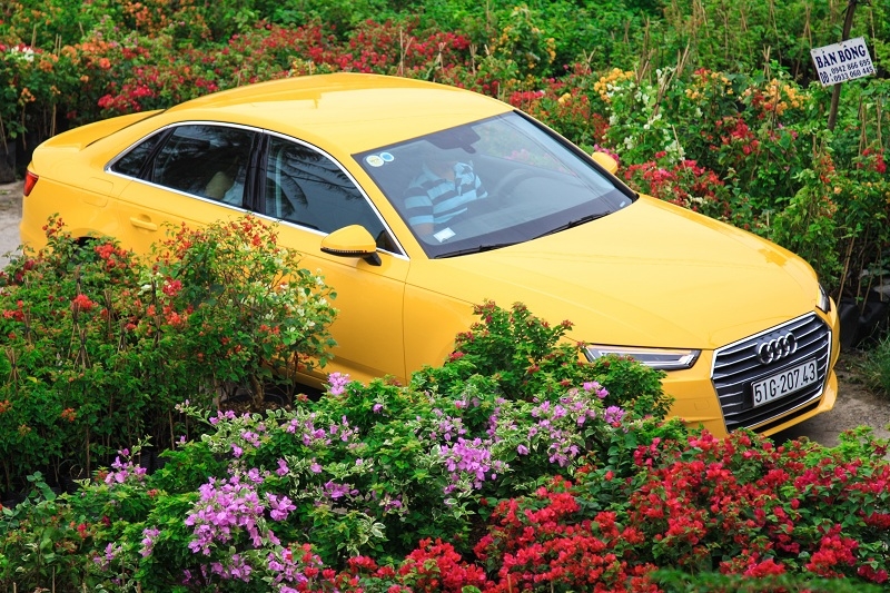 ruc ro sac xuan cung audi a4 2016