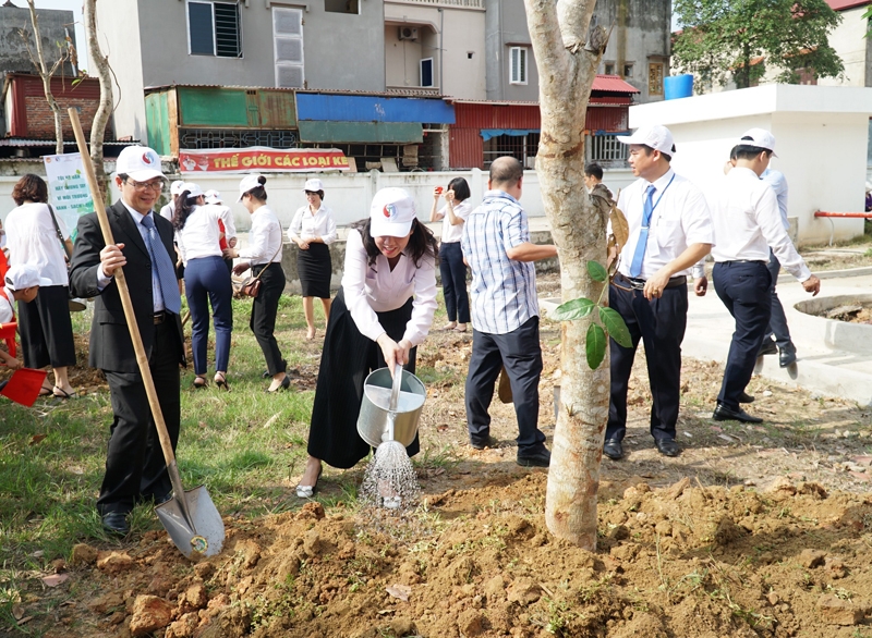 Toyota Việt Nam chung tay xanh hóa học đường 