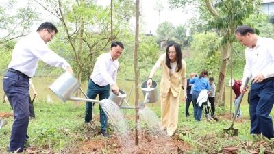 Toyota đồng hành cùng chương trình “Tết trồng cây ” Xuân Bính Ngọ 2026