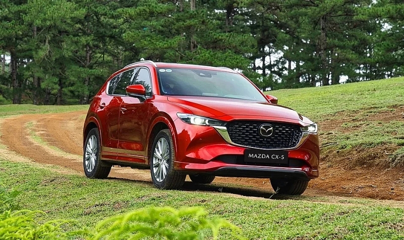 Thị trường ô tô tháng 8/2026: Xe điện áp đảo ngôi đầu, phân khúc bán tải tạo biến số lớn