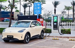 Tasco và Ford lập 