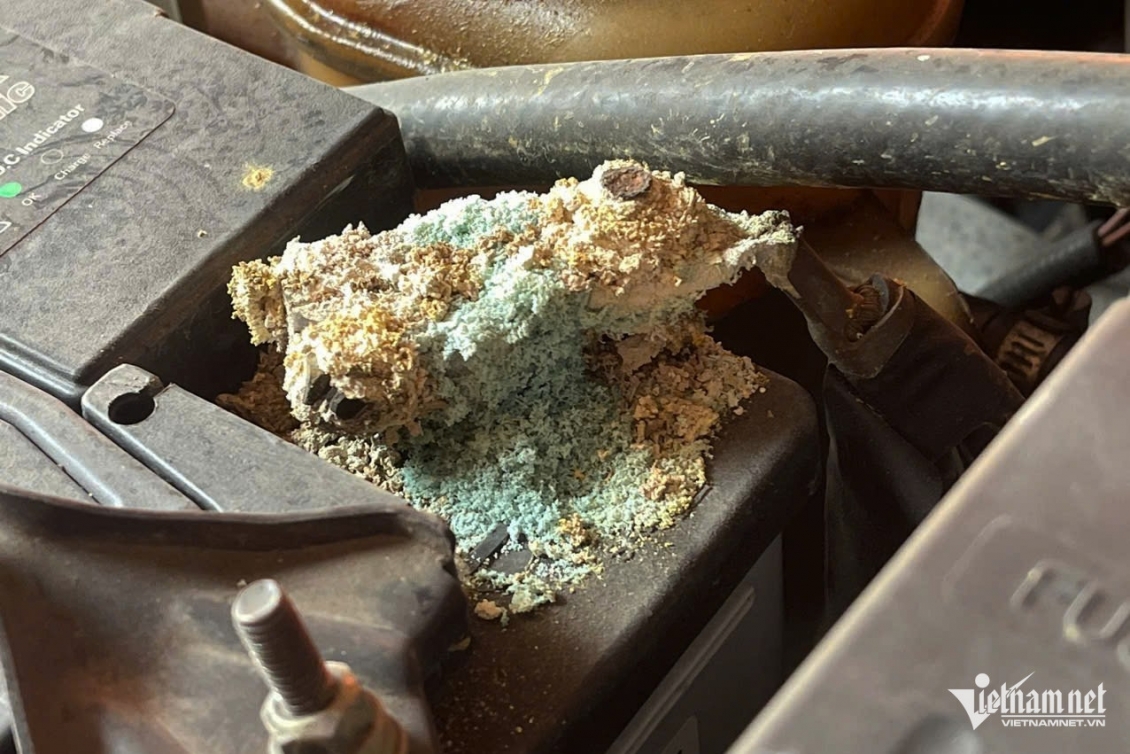 Ô tô cũ dễ 'nằm đường', chuyên gia chỉ ra các bộ phận cần chăm sóc kỹ vào mùa hè Ô tô cũ dễ 'nằm đường', chuyên gia chỉ ra các bộ phận cần chăm sóc kỹ vào mùa hè