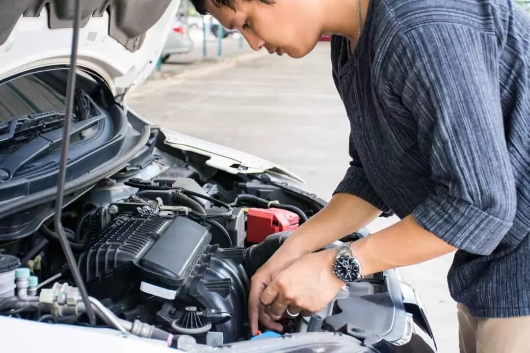 Những hạng mục 