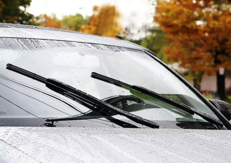 Những hạng mục 