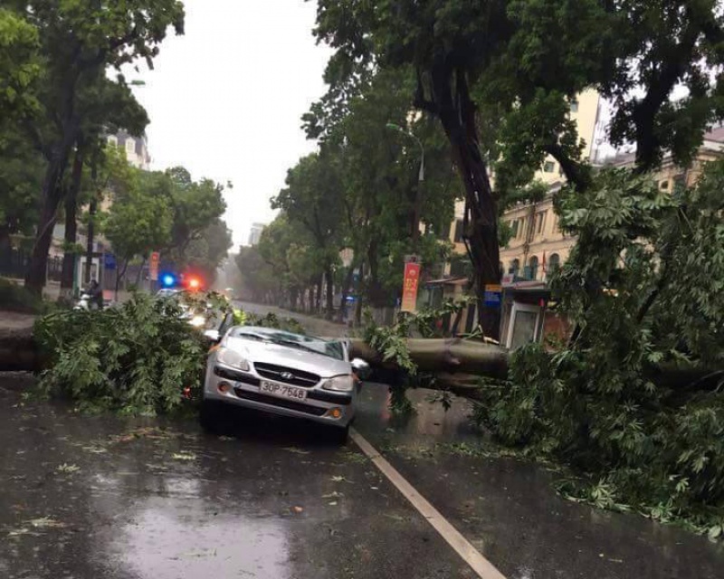 Mưa gió lớn, cây đổ hàng loạt đè bẹp ô tô