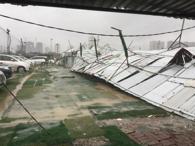 mua gio lon cay do hang loat de bep o to