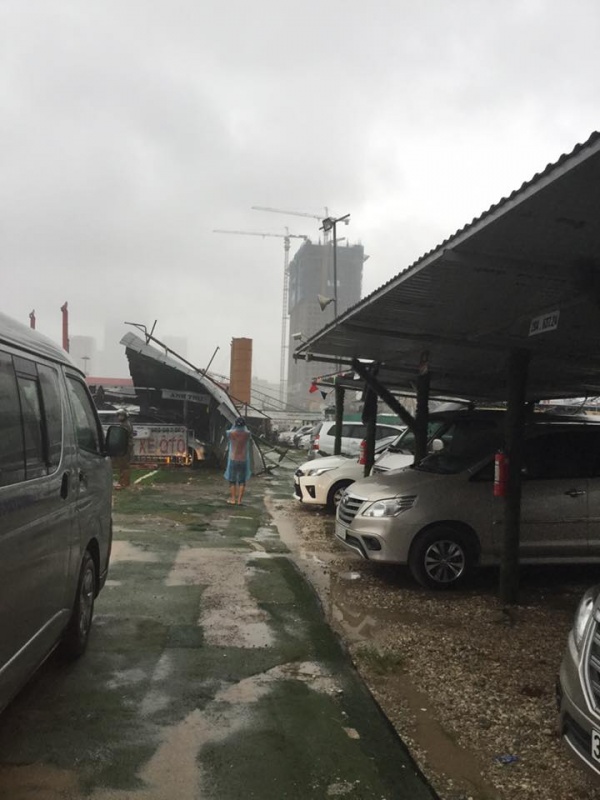 mua gio lon cay do hang loat de bep o to