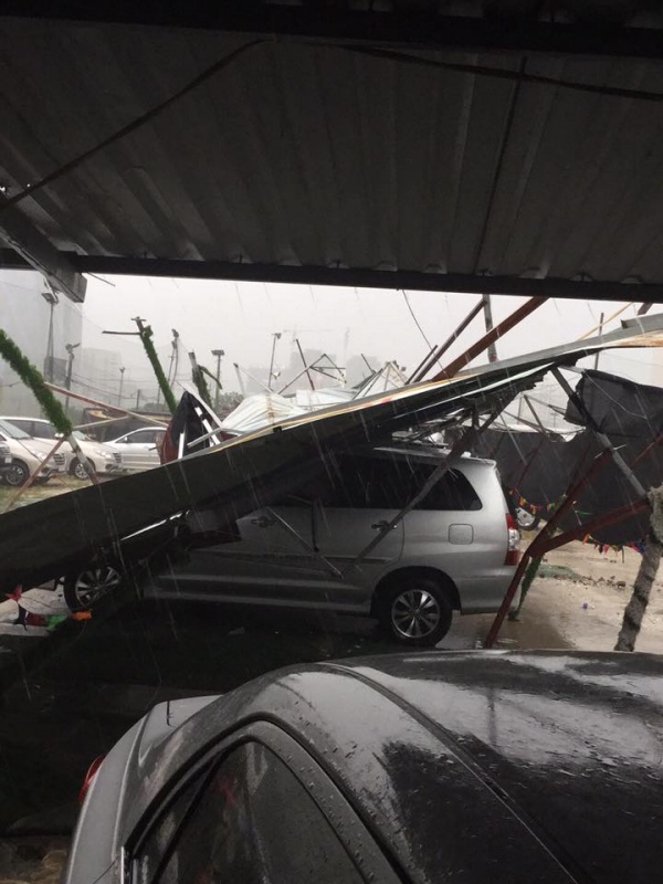 mua gio lon cay do hang loat de bep o to