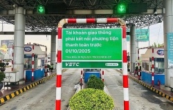 Lùi thời hạn chuyển đổi tài khoản giao thông đến hết ngày 31/12/2025