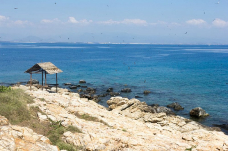 bai tam doi doc va la chi co o nha trang