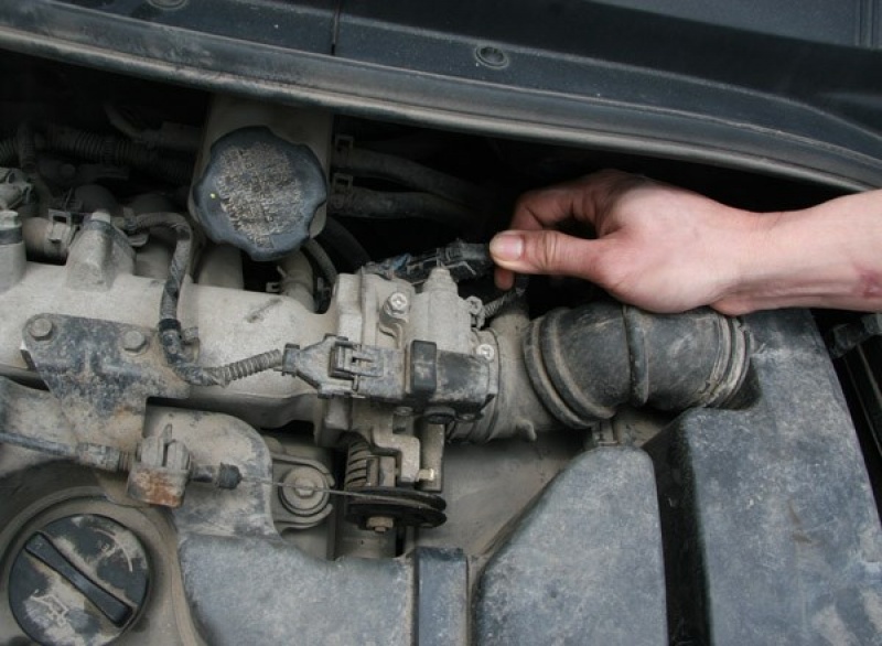 o to bi oa ga do dau