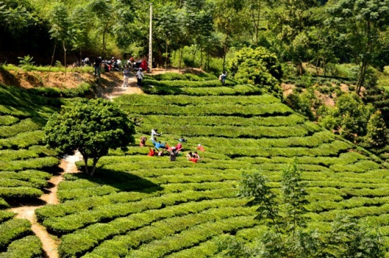 7 dia danh khong the bo qua khi du lich yen bai