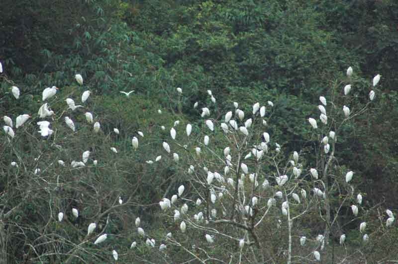 5 điểm du lịch quanh Hà Nội bạn nên đi dịp 2/9 5 diem du lich quanh ha noi ban nen di dip 29