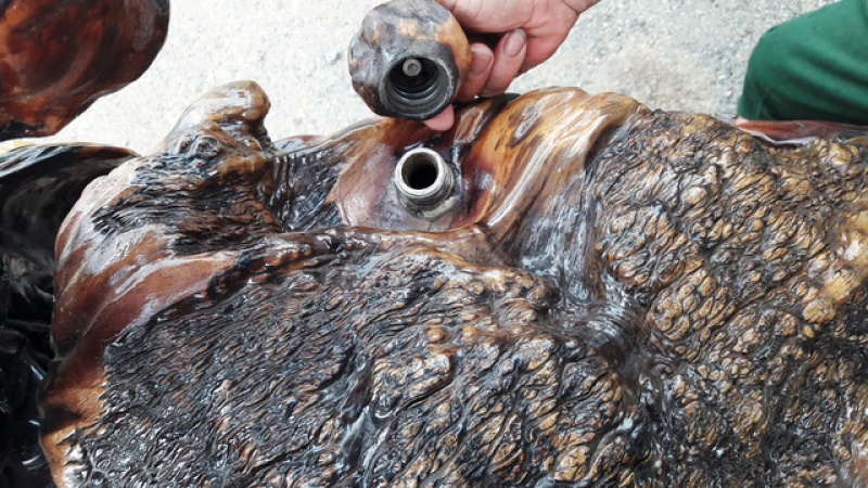 ngo ngang voi chiec mo to bang go o lam dong