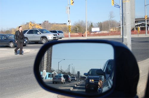 meo chay o to trong pho cho nguoi moi lai xe