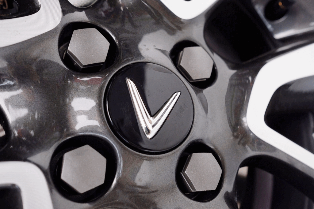 he lo hang nong vinfast truoc gio ra mat