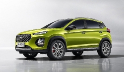 Sau Hongqi, thương hiệu 