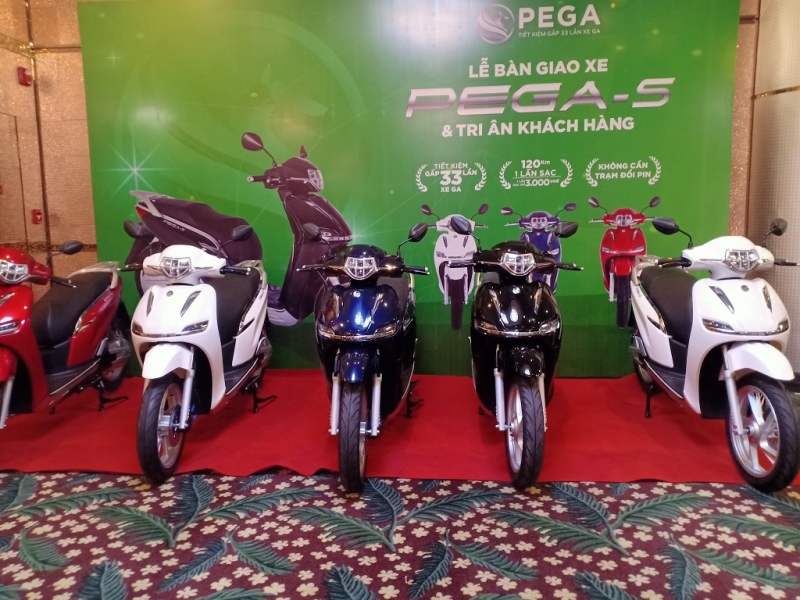 Pega-S 4125-img20200530144215