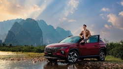 Doanh số bán xe Hyundai của TC Group giảm nhẹ trong tháng 5