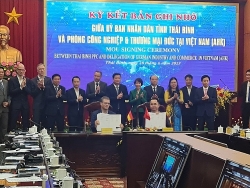 Thêm một thương hiệu xe ô tô điện mini mới gia nhập thị trường Việt Nam