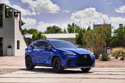 Sau Land Cruiser, tới lượt Lexus NX tạm ngưng nhận đặt hàng