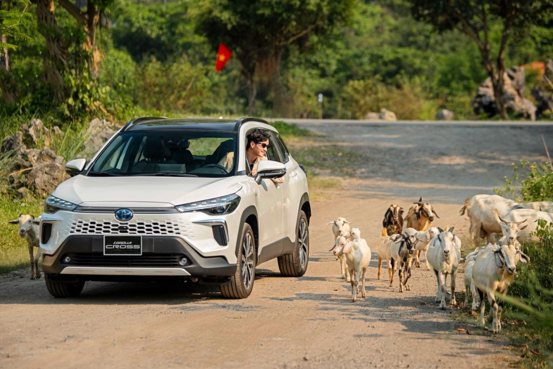 Top 10 xe bán chạy nhất tháng 5/2025