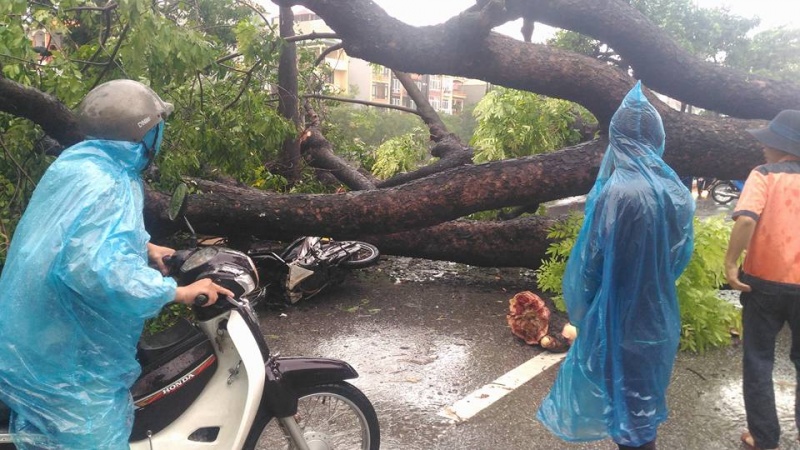 xe may do dat tren pho do bao