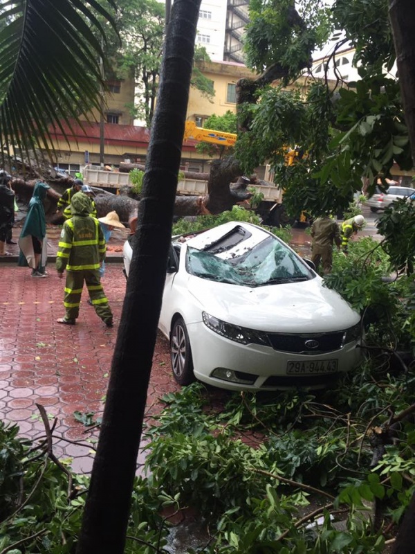 mua bao cay lai de nat o to tai ha noi