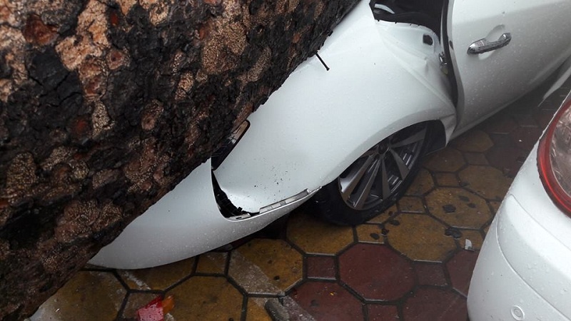 mua bao cay lai de nat o to tai ha noi