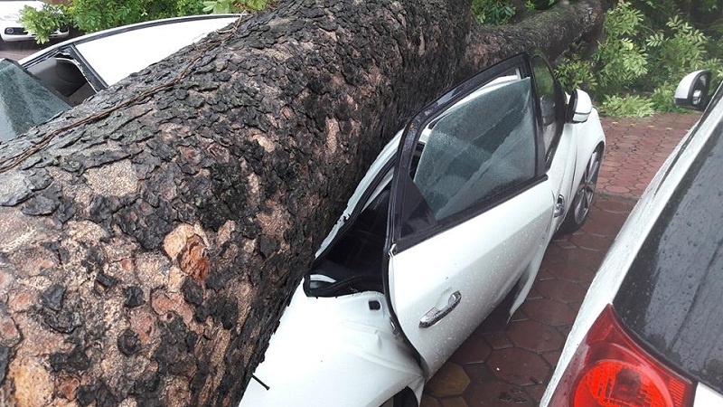 mua bao cay lai de nat o to tai ha noi