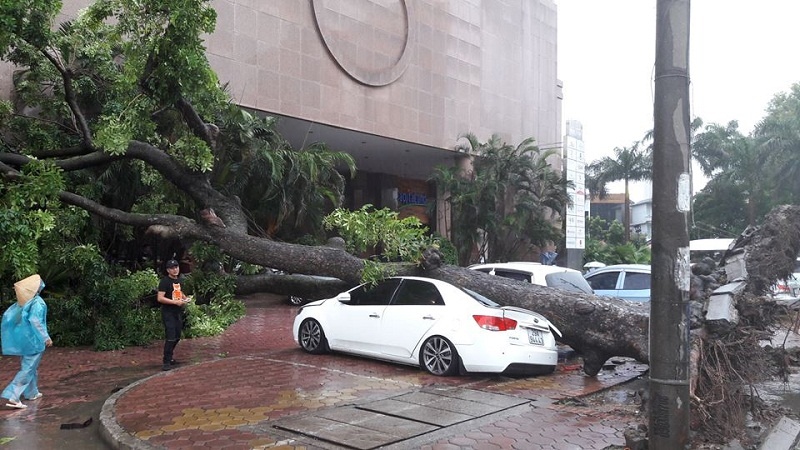 mua bao cay lai de nat o to tai ha noi