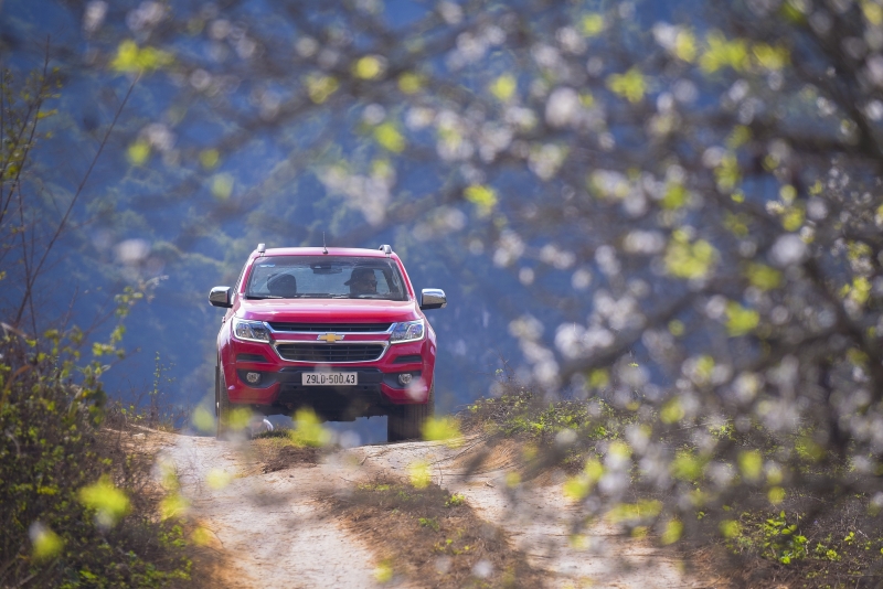 gm dong nam a tang truong 14 trong nam 2017