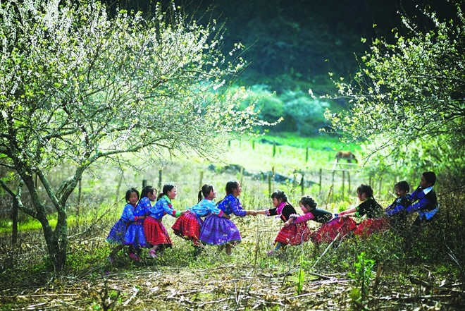 ngam hoa tay bac dip dau nam