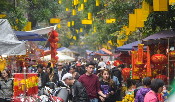 cho hoa ha noi chi hop moi nam mot lan vao dip tet