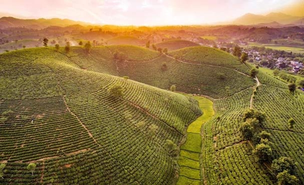 ve phu tho le to dung quen ghe qua nhung dia danh nay