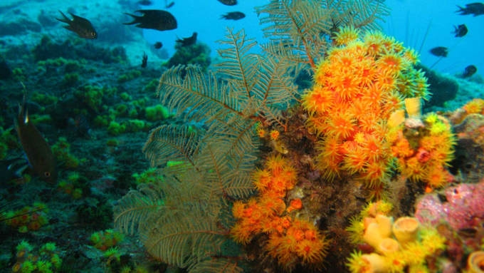 7 hon dao dep nhat o campuchia cho ky nghi he