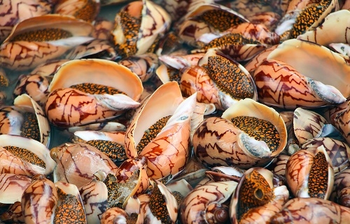 5 lý do bạn nên đón hè tại Phú Quốc 5 ly do ban nen don he tai phu quoc