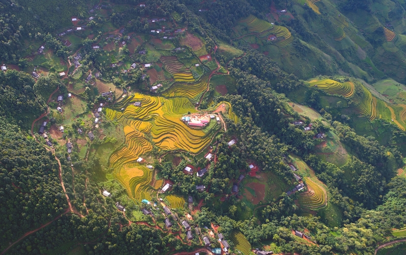 Sắc thu rực rỡ trong mùa vàng Mù Cang Chải sac thu ruc ro trong mua vang mu cang chai