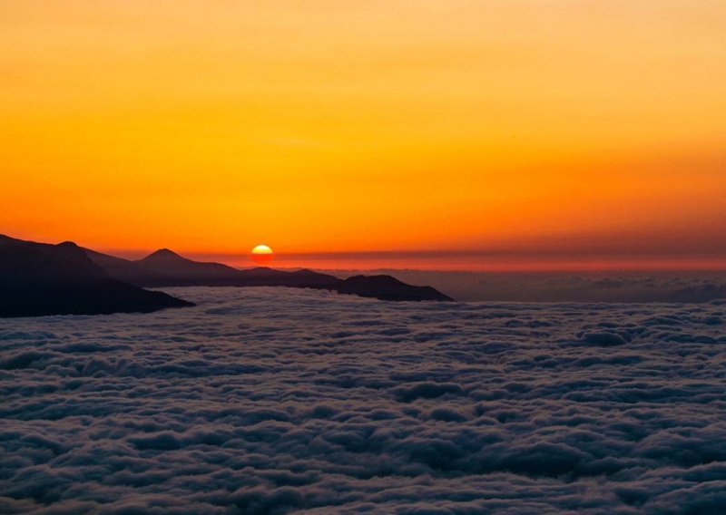 lac loi giua thien duong may huyen ao tren the gioi