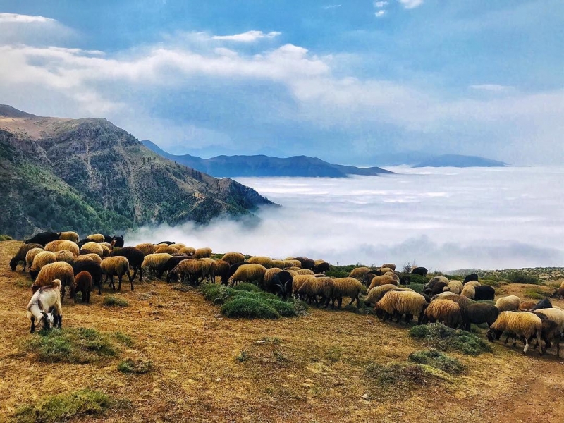 lac loi giua thien duong may huyen ao tren the gioi
