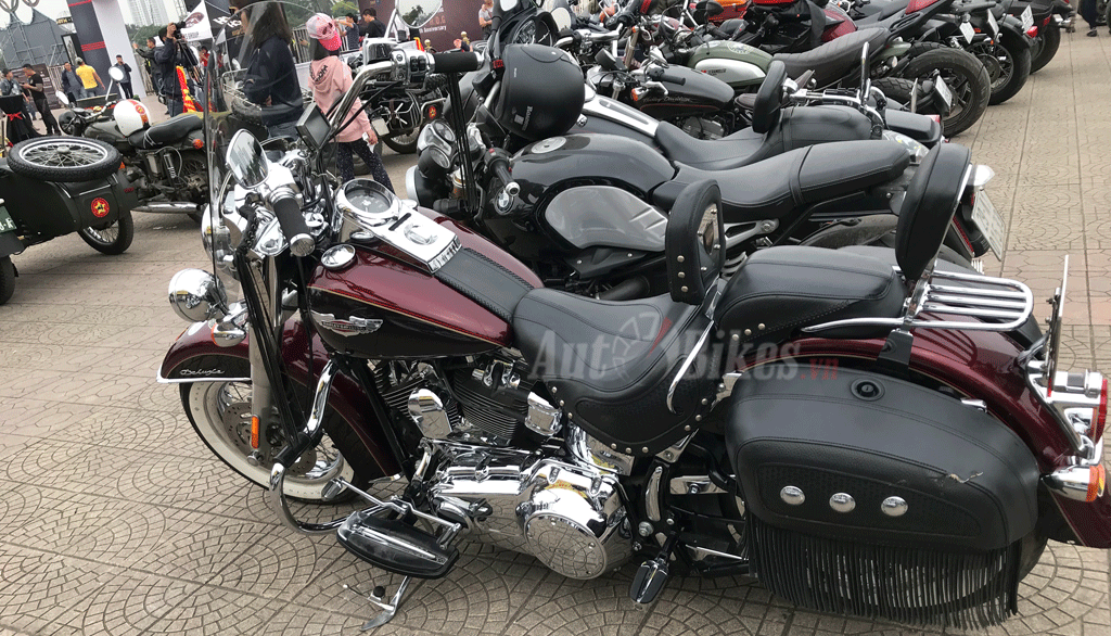 Chiêm ngưỡng bộ sưu tập Harley Davidson  Hà Nội