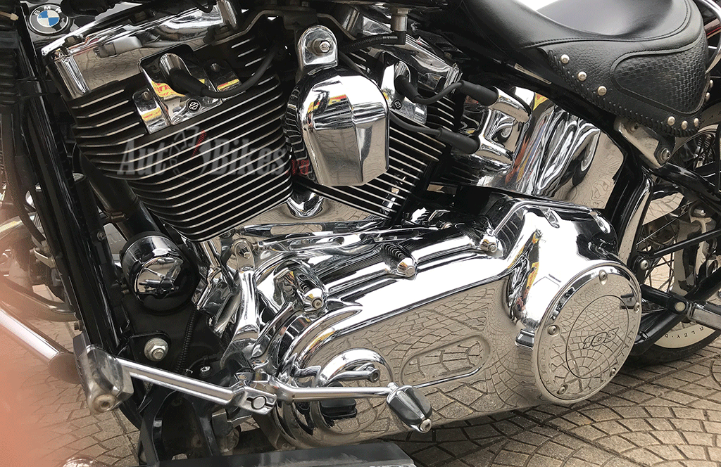 hang tram mo to khung hoi tu tai day of hog 2018