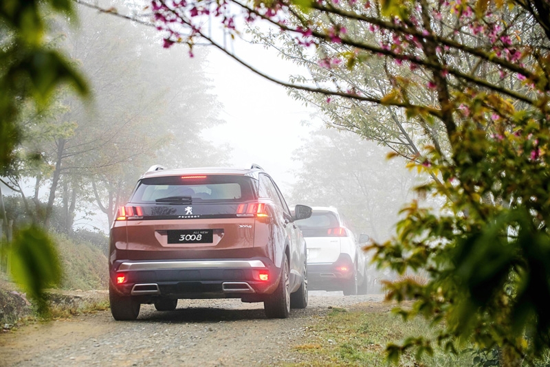 ban chay peugeot tang uu dai dich vu