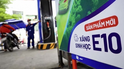 Nhiều hãng xe công bố danh mục xe tương thích với xăng E10