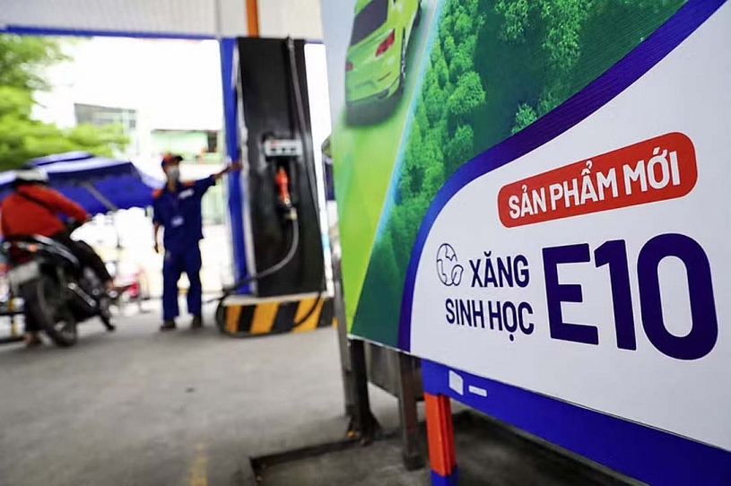 Nhiều hãng xe công bố danh mục xe tương thích với xăng E10 Nhiều hãng xe công bố danh mục xe tương thích với xăng E10