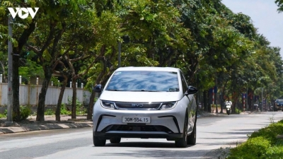 BYD Dolphin 2026: Bản nâng cấp lớn cho xu hướng ô tô điện đô thị tại Việt Nam