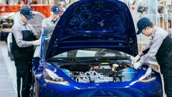 Tesla thúc đẩy kế hoạch sản xuất xe điện giá rẻ tại Ấn Độ