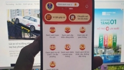 Ứng dụng VNeTraffic có thể tra cứu thông tin gì?