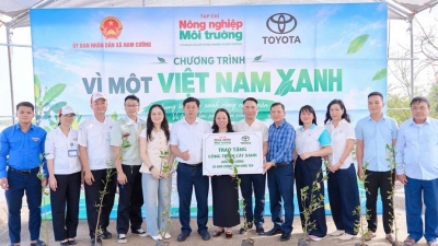 Toyota Việt Nam: Dựng “lá chắn xanh” ven biển vì một tương lai bền vững